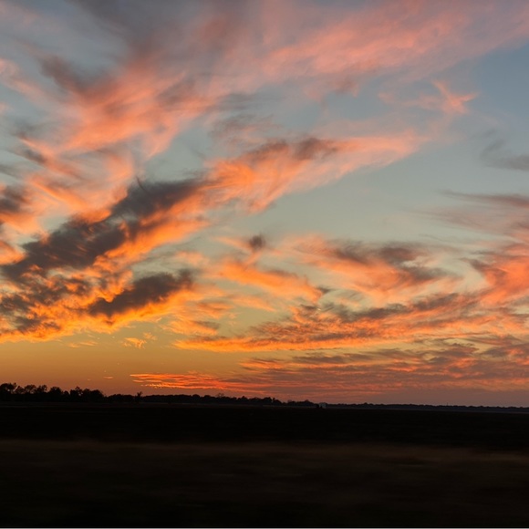 Meet your Posher, Amy - Picture 3 of 3